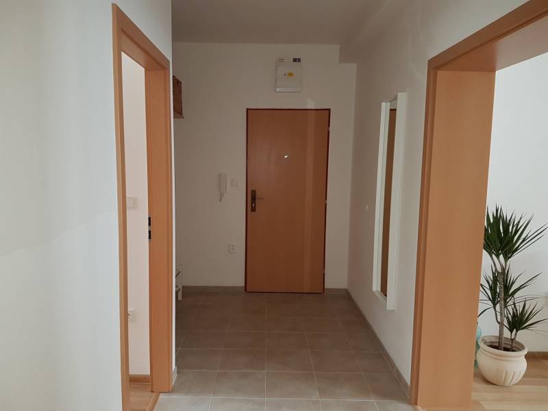Vstupní předsíň s dveřmi do pokojů a rostlinou v 2-pokojovém bytě.