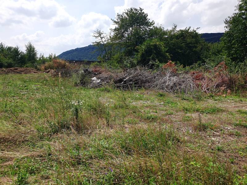 Pozemky - komerční v Trenčianských Bohuslavicích, s divokou vegetací a hromadami větví.