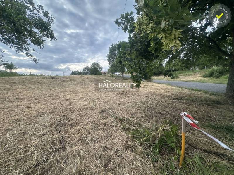 Pozemek v Rybníku pro bydlení, travnatá plocha u cesty, obklopená stromy.