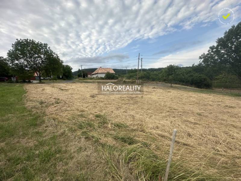 Travnatý pozemek k bydlení v Rybníku obklopený stromy a budovami.
