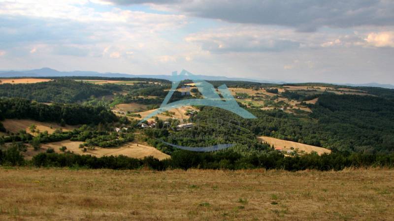 Kopcovitá krajina s lesy a otevřenými pozemky, ideální pro bydlení na venkově.