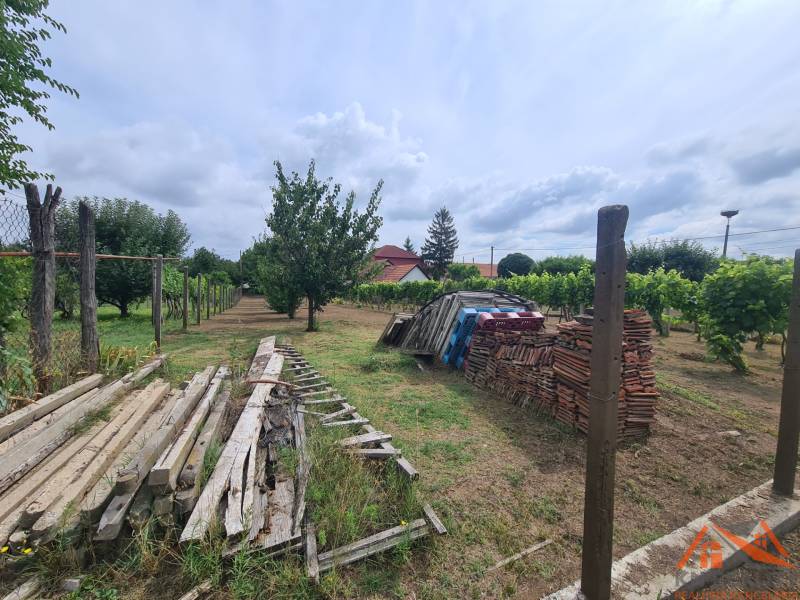 Zahrady v Moči s uskladněnými dřevy a cihlami, obklopené vinicemi a ovocnými stromy.