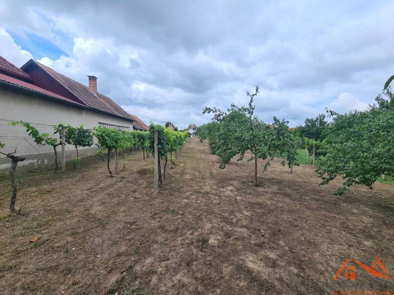 V Záhradách v Moči se nacházejí ovocné stromy a vinice s obytným domem.