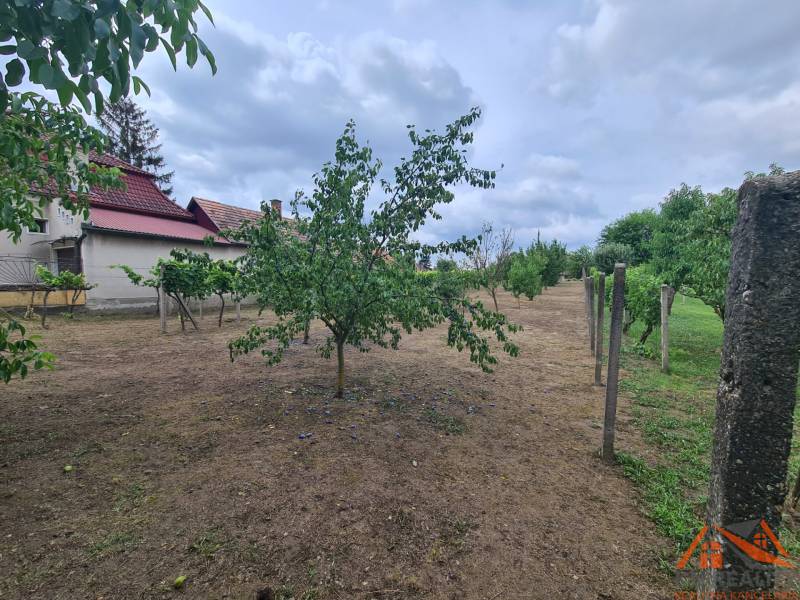 Zahrada v Moči s ovocnými stromy, budovy v pozadí a zamračenou oblohou.