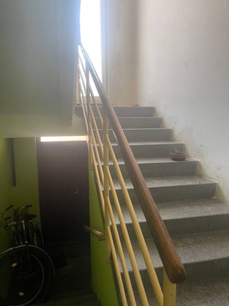 Schodiště v rodinném domě s koly a rostlinou na parapetu.
