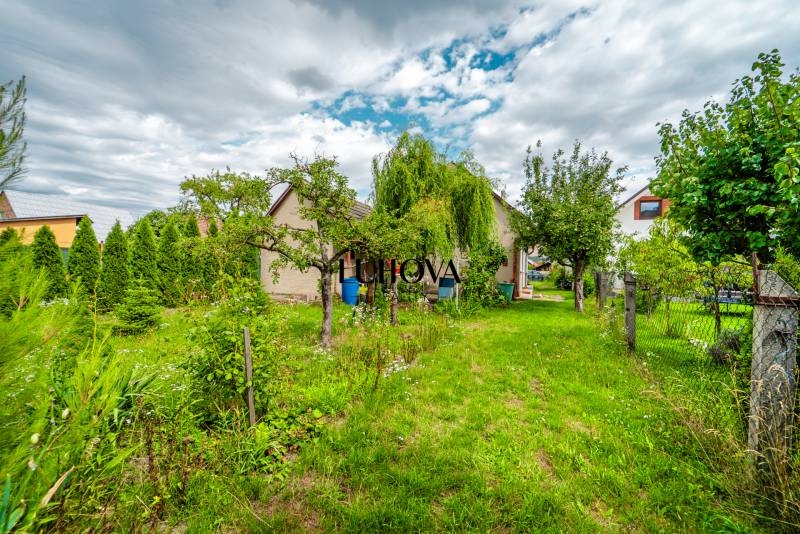 Zahrada rodinného domu na Pavla Koyša v Ladcích s hustou zelení a stromy.