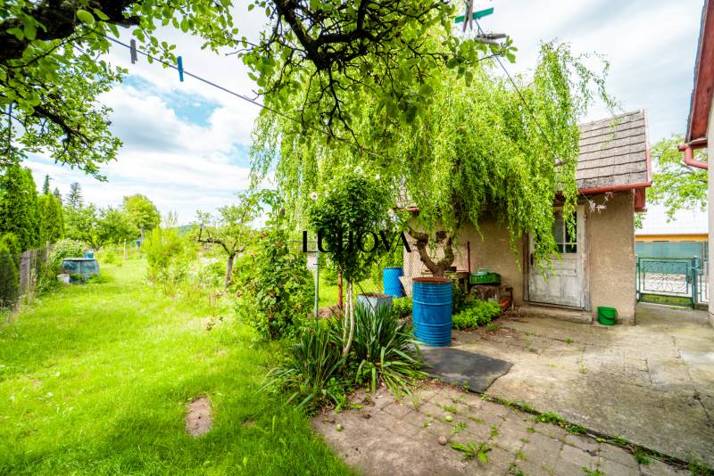 Zahrada u rodinného domu na ulici Pavla Koyša v Ladcích s bujnou zelenou vegetací.