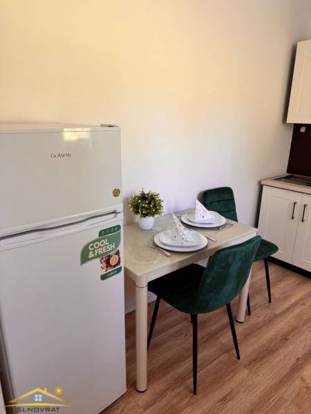 Malá kuchyně v 1-pokojovém bytě s lednicí, stolem a zelenými židlemi.