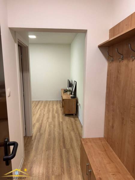 Chodba s věšákovou stěnou a vstupem do obývacího pokoje, 1-pokojový byt.