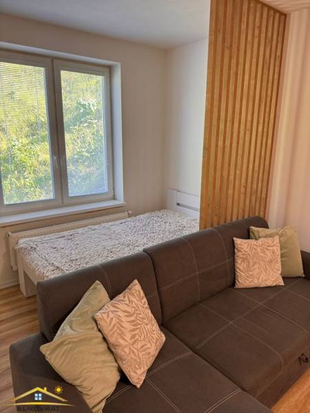 Pohodlný 1-pokojový byt s rozkládací pohovkou a postelí u okna, světlý prostor.