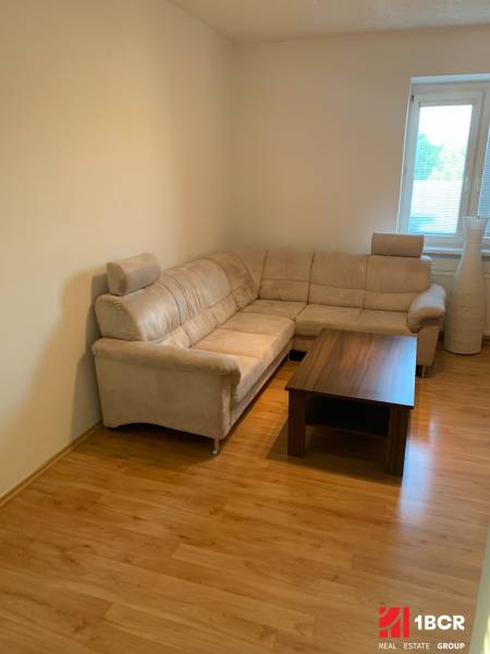 Obývací pokoj v 2pokojovém bytě s rohovou sedačkou a podlahou s dřevěným dekorem.