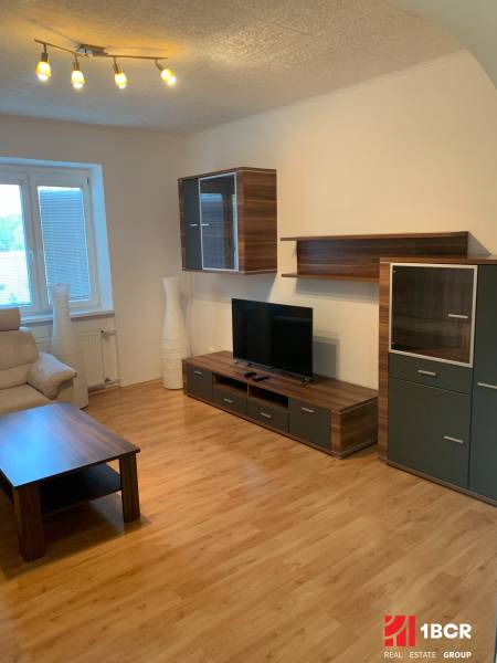 Obývací pokoj dvoupokojového bytu s podlahou s dřevěným dekorem a televizí.