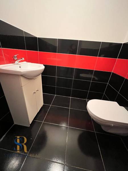 Koupelna v rodinném domě se sanitou, černo-červenými kachličkami a umyvadlem.