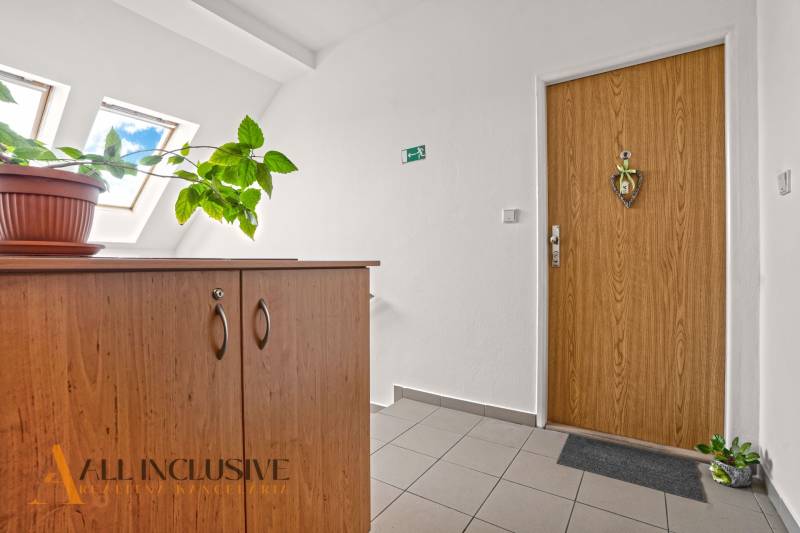 Vstup do 2-pokojového bytu s dřevěnou skříní a květinou na podlaze s dekorem dřeva.