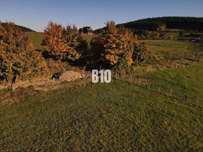 Pozemek v Petrovicích na bydlení, obklopený stromy v podzimních barvách.