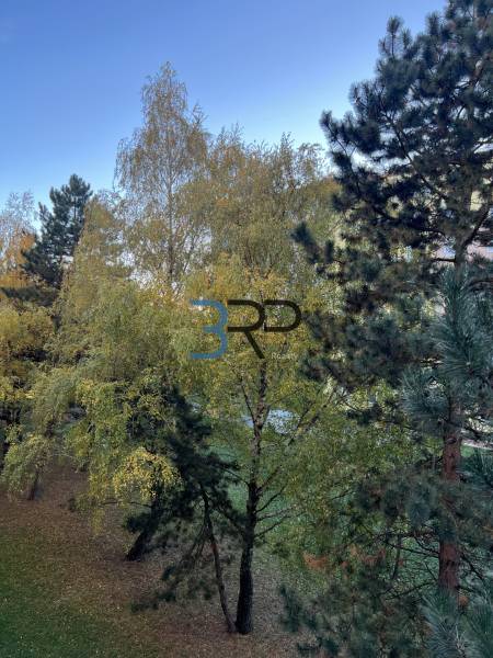 Zeleň na ulici Hviezdoslavova v Senici obklopuje 2-pokojový byt, přírodní atmosféra.