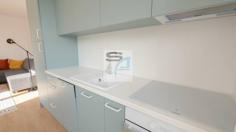 Kuchyně v 2-pokojovém bytě s dřezem, indukční varnou deskou a podlahou s dřevěným dekorem.