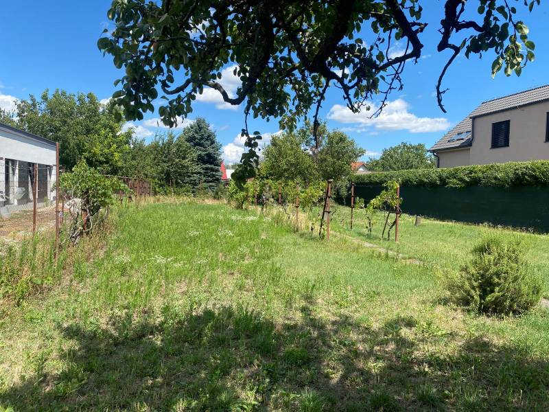 Zahrada s trávníkem a vinicí v Bratislavě - Podunajských Biskupicích, ideální pro pozemky - bydlení.