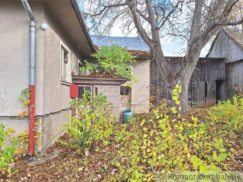 Na dvoře rodinného domu v Liptovských Beharovcích jsou vidět stromy a dřevěné stavby.
