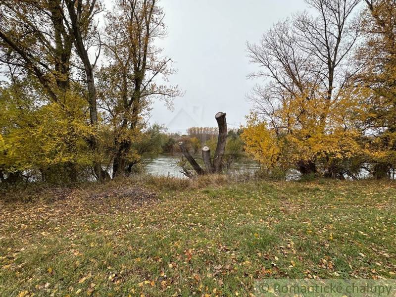 Podzimní krajina ve městě Zemné s řekou a holými stromy.