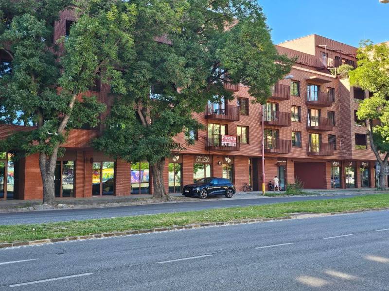 Bytový dům na Košické ulici v Bratislavě-Ružinově zastřešený hustými stromy.