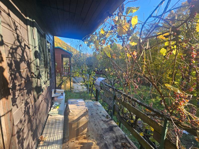 Chata v lokalitě Sady pod Dedovcem v Trenčianských Teplicích, obklopená vinicí a zelení.