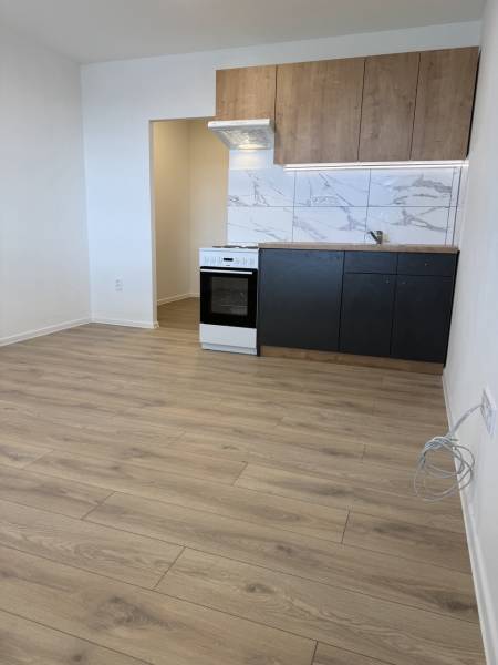 Garsonka s kuchyňskou linkou, sporákem a podlahou s dřevěným dekorem.