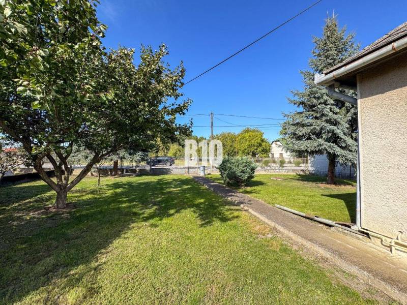 Zahrada u rodinného domu v Ondrejovcích s trávníkem, stromy a keři.