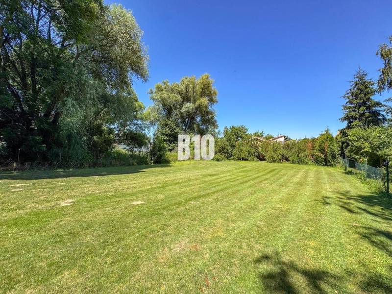 Travnatá zahrada u rodinného domu v Nových Sadech s vysokými stromy v pozadí.