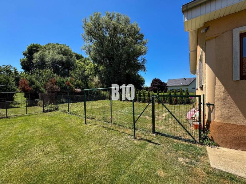 Zahrada rodinného domu v Nových Sadech, oplocená travnatá plocha, stromy a keře.