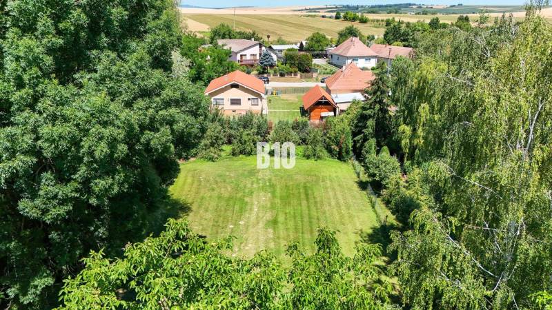 Zahrada obklopená zelení a rodinnými domy v Nových Sadech.