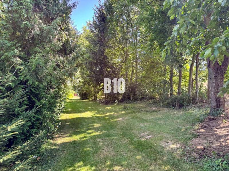 Zahrada u rodinného domu v Nových Sadech obklopená stromy a travnatým chodníkem.