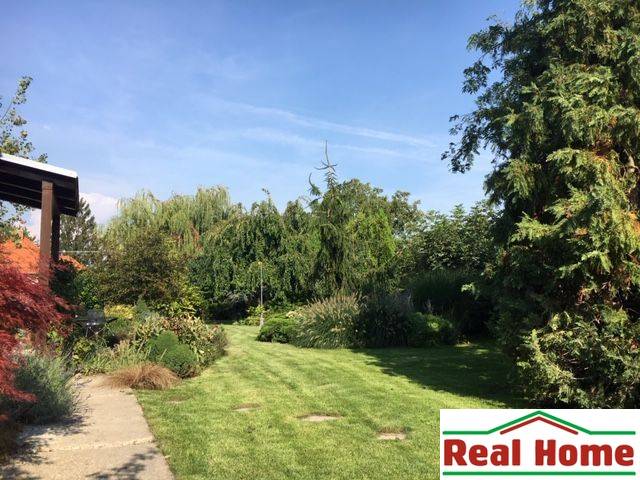 Zahrada u rodinného domu v Černé Vodě s bohatou výsadbou a udržovaným trávníkem.