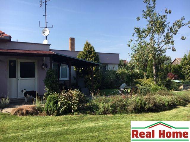 Rodinný dům v Černé Vodě se zahradou, psem a přilehlou terasou na odpočinek.