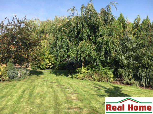 Zahrada u rodinného domu v Černé Vodě, lemovaná stromy a upraveným trávníkem.
