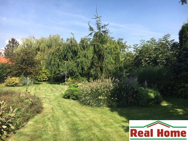 Zahrada u rodinného domu v Černé Vodě s bujnou zelení a trávníkem.