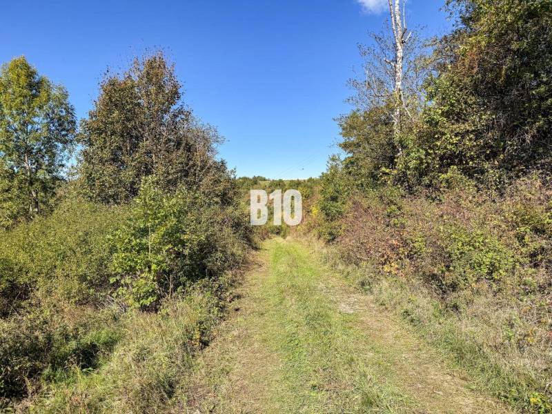 Chata v Lackově obklopená přírodou a zelenou cestičkou vedoucí k lesu.