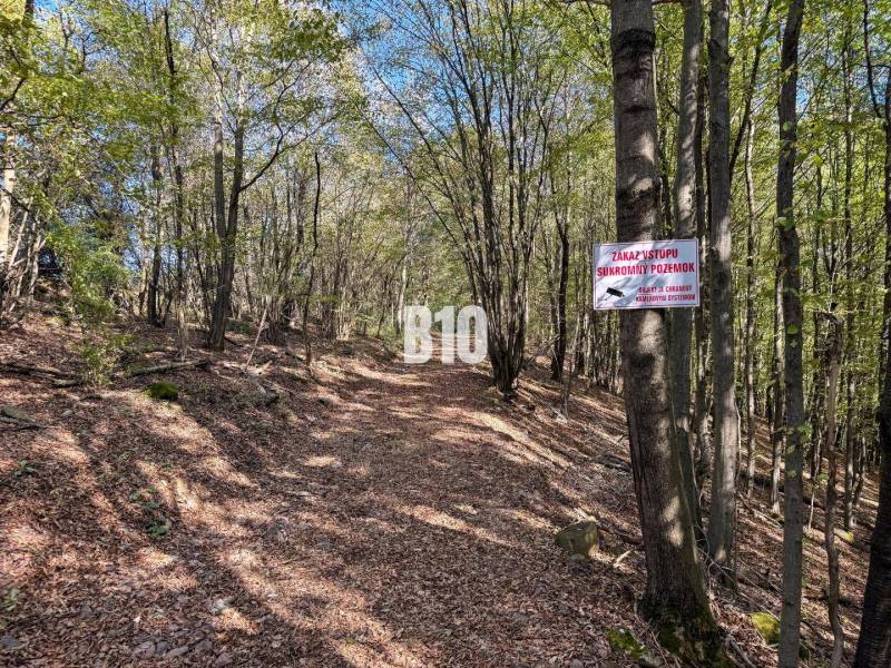 Lesní cesta v Lackově s nápisem zakazujícím vstup na soukromý pozemek.