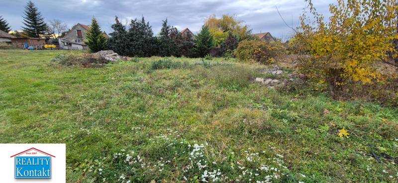 Zeleň na pozemku určeném k bydlení v Tvrdošovcích, s domy a stromy v pozadí.