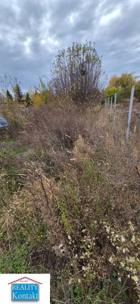 Pozemek v Tvrdošovcích vhodný k bydlení s přírodní vegetací a stromy.
