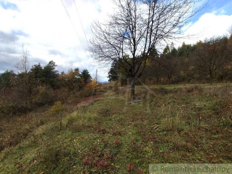 Podzim v přírodní zahradě v Hlbokom nad Váhom, s rozmanitými stromy a trávou.