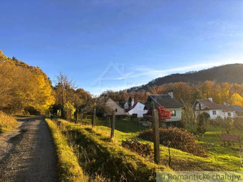 Chaty v podzimní Sološnici obklopené lesy a sluncem osvětlená cesta.