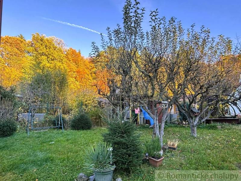 Podzimní zahrada u chaty v Sološnici s barevnými stromy a lavičkou.