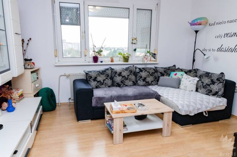 Obývací pokoj s pohovkou, konferenčním stolkem a podlahou s dřevěným dekorem v 2pokojovém bytě.