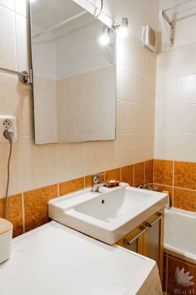 Koupelna se zrcadlem a umyvadlem v 2-pokojovém bytě.