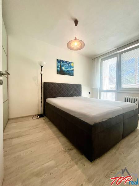 Ložnice s manželskou postelí, obrazem a stojací lampou v 3-pokojovém bytě.