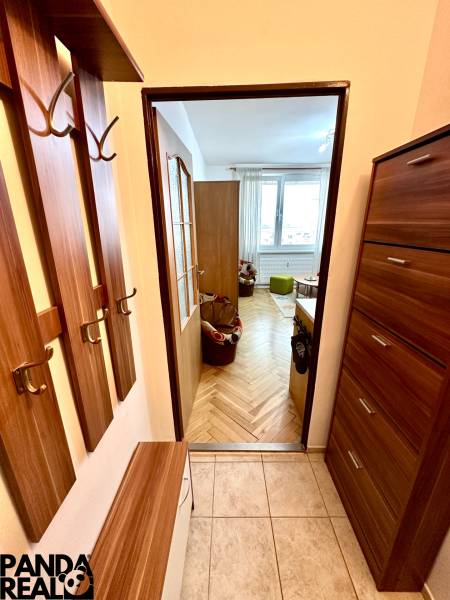 Garsonka s předsíní a podlahou s dřevěným dekorem, pohled do hlavní místnosti.