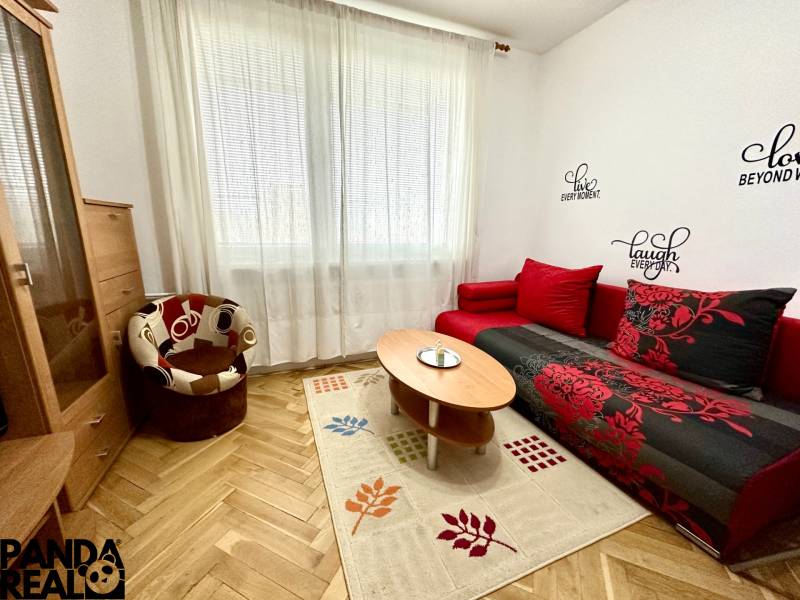 Garsonka s podlahou s dřevěným dekorem, červenou sedačkou a křeslem.