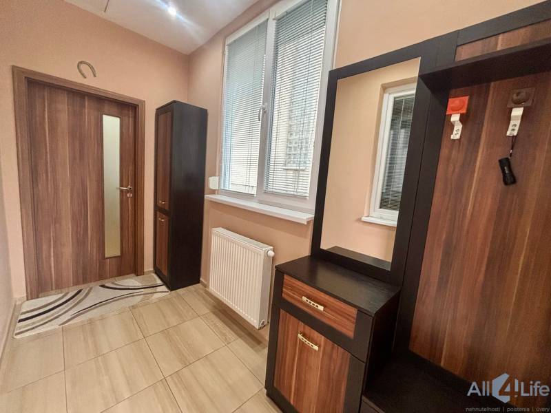 Předsíň 1-pokojového bytu s podlahou s dřevěným dekorem a nábytkem u stěny.