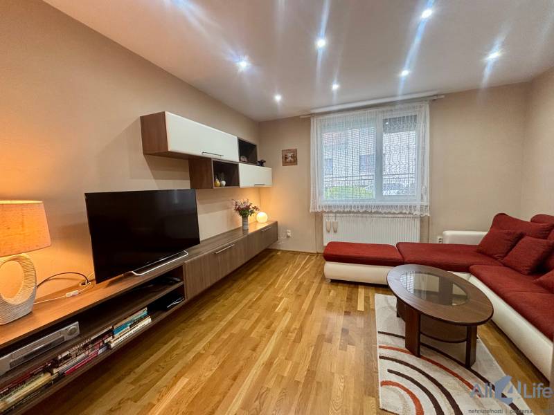 Obývací pokoj v 1-pokojovém bytě s TV, pohovkou a podlahou s dřevěným dekorem.